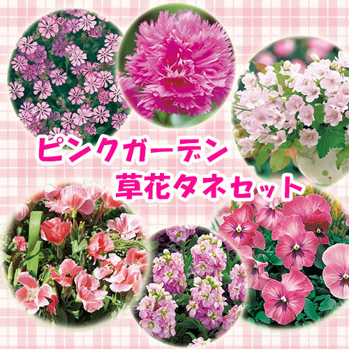 ピンクガーデン草花タネセット 秋 種 苗 ガーデニング用品の タキイネット通販 ピンクガーデン草花タネセット 秋 種 苗 ガーデニング用品の タキイネット通販