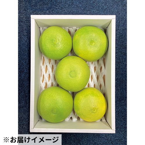 マルシェ 高知県産 水晶文旦 約2.7kg| 種・苗・ガーデニング用品の