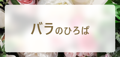 バラのひろば