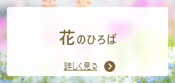 花のひろば