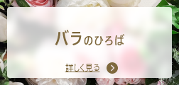 バラのひろば
