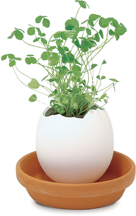 エコ素材で販促物 記念品としても最適 Happy Egg タキイのグリーンノベルティ