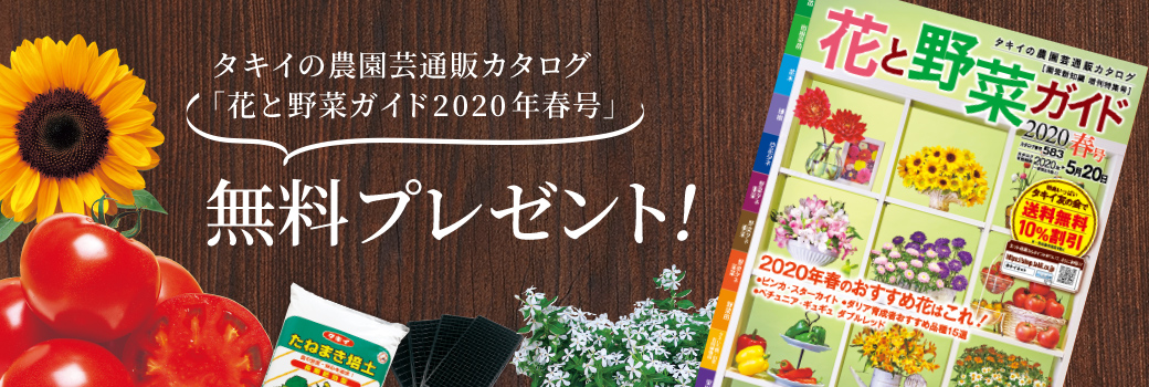タキイの農園芸通販カタログ「花と野菜ガイド2020年春号」無料プレゼント!