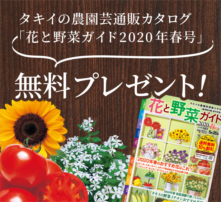 タキイの農園芸通販カタログ「花と野菜ガイド2020年春号」無料プレゼント!