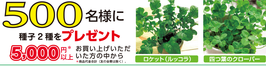 5,000円※以上お買い上げいただいた方の中から500名様に種子2種をプレゼント！