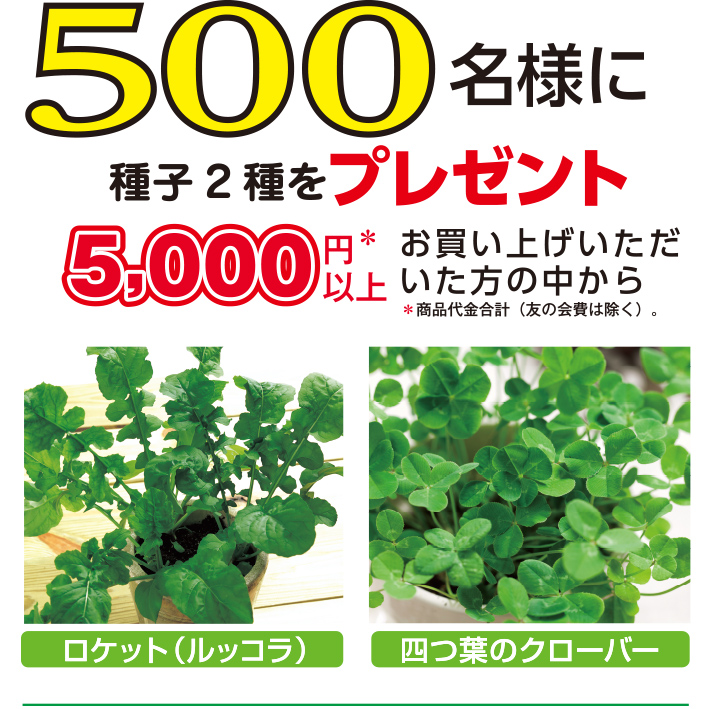 5,000円※以上お買い上げいただいた方の中から500名様に種子2種をプレゼント！