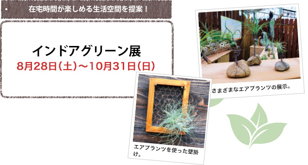 タキイ友の会 植物園情報 種 苗 球根 ガーデニング用品 農業資材の通販サイト タキイネット通販