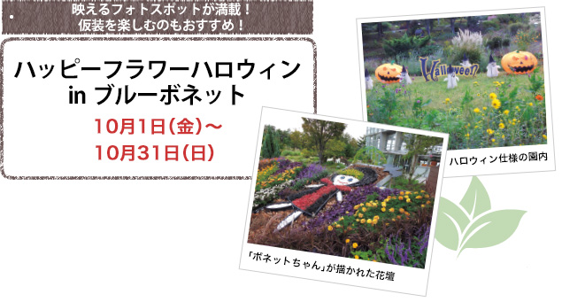 映えるフォトスポットが満載!仮装を楽しむのもおすすめ!ハッピーフラワーハロウィンinブルーボネット 10月1日(金)〜10月31日(日)