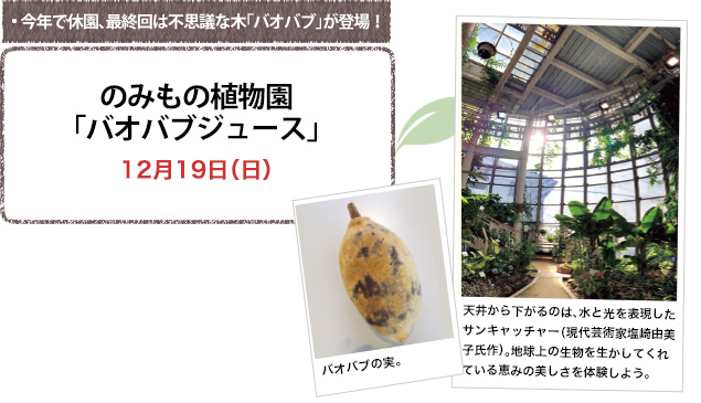 今年で休園、最終回は不思議な木「バオバブ」が登場!のみもの植物園「バオバブジュース」12月19日(日)