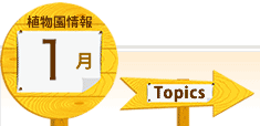 植物園情報