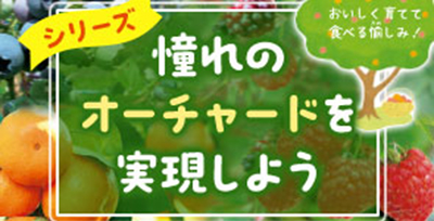 憧れのオーチャードを実現しよう