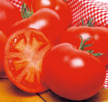トマトの上手な栽培方法 育て方 タキイネット通販
