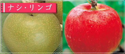 【ナシ・リンゴ】