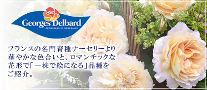 【デルバール】