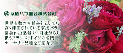 【京成バラ園芸】