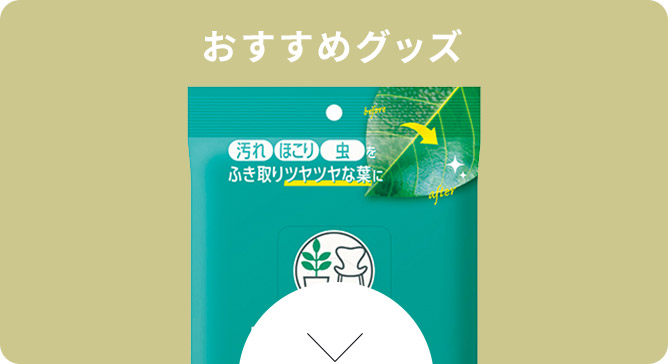 おすすめグッズ