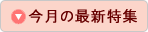 今月の最新特集