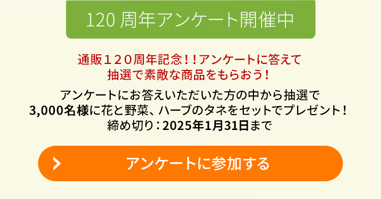 120周年アンケート開催中 アンケートに参加する