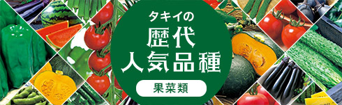 歴代人気品種 果菜類