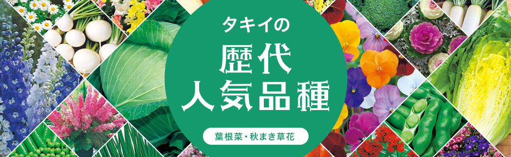 歴代人気品種