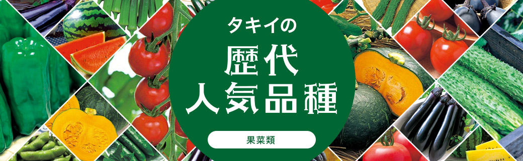 歴代人気品種 果菜類