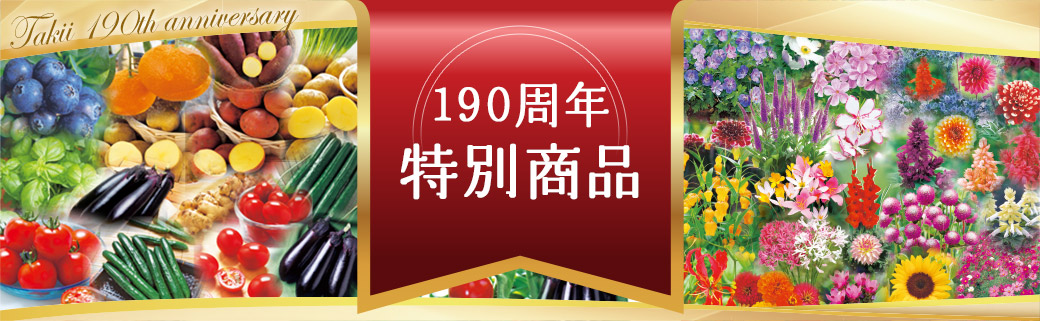 190周年特別商品