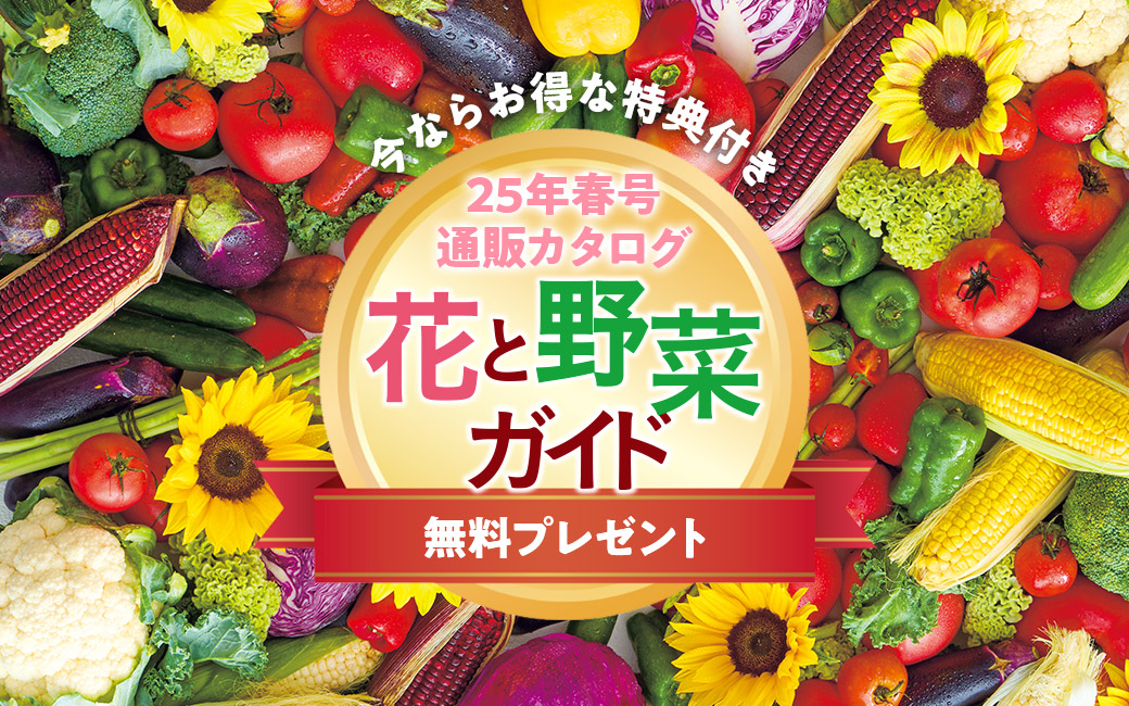 25年春 花と野菜ガイド 無料プレゼント