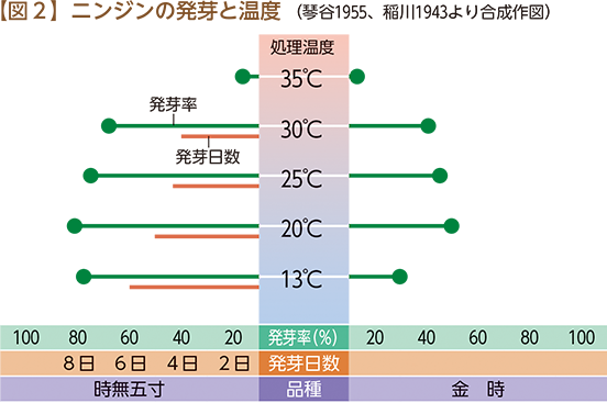 【図２】ニンジンの発芽と温度