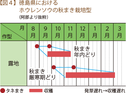 【図４】徳島県におけるホウレンソウの秋まき栽培型