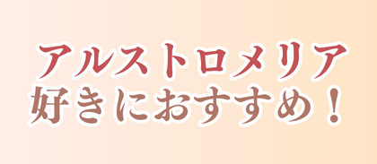 アルストロメリア好きにおすすめ