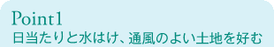 Point1 日当たりと水はけ、通風のよい土地を好む