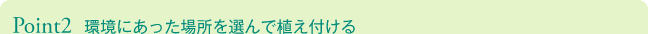 Point2 環境にあった場所を選んで植え付ける