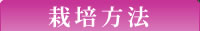 栽培方法