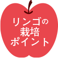 リンゴの栽培ポイント