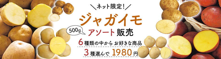 ジャガイモ アソート販売 | タキイネット通販