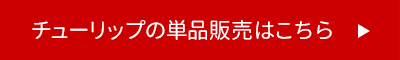 チューリップの単品販売はこちら