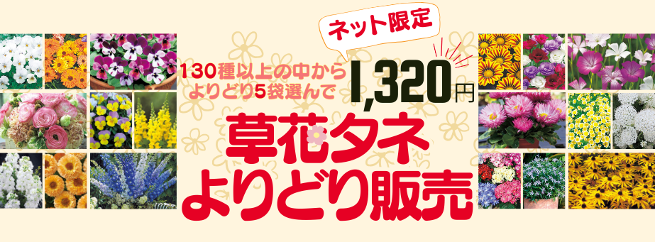 草花アソート販売