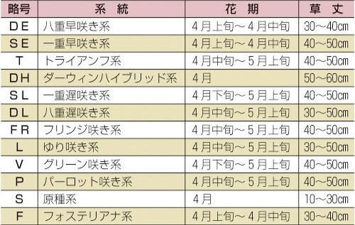 チューリップの略号と花期・草丈の目安