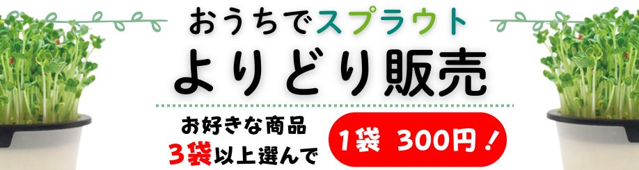 おうちでスプラウトアソート販売