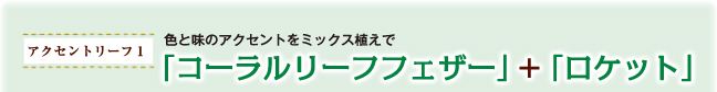 コーラルリーフフェザー＋ロケット