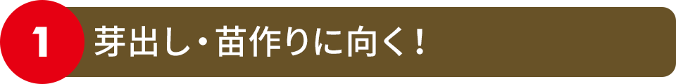 芽出し・苗作りに向く！