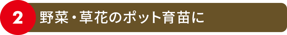 野菜・草花のポット育苗に