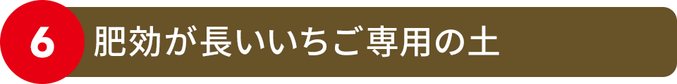 肥効が長いいちご専用の土