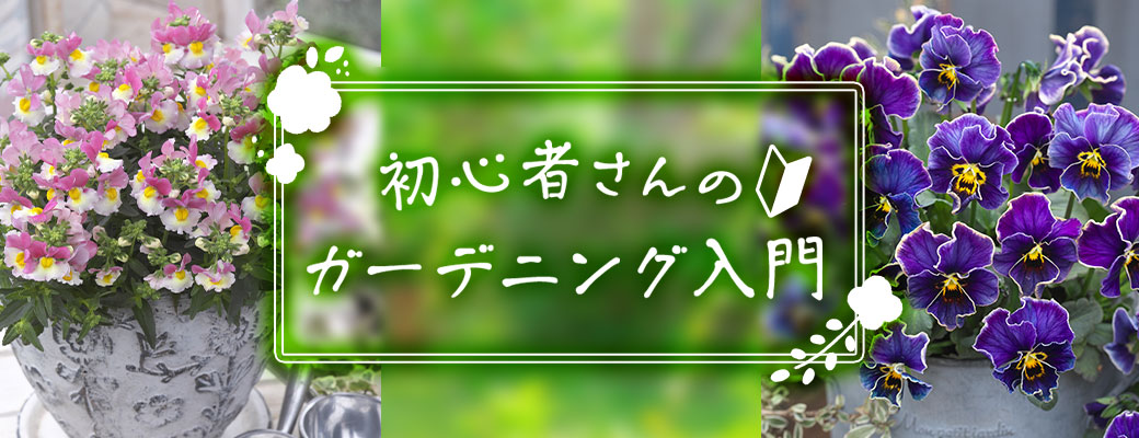 初心者用ガーデニング入門