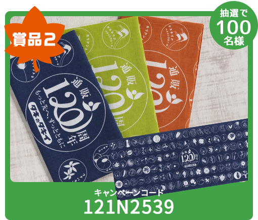 賞品2 抽選で100名様 キャンペーンコード 121N2539