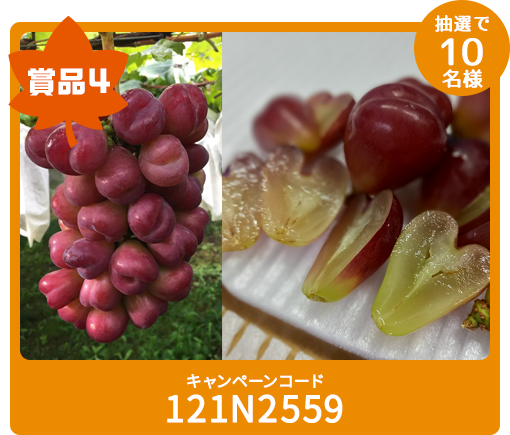 賞品4 抽選で10名様 キャンペーンコード 121N2559