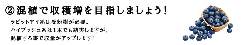 混植で収穫増を目指しましょう！