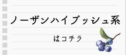 ノーザンハイブッシュ系はコチラ