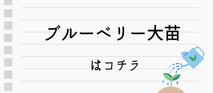 ブルーベリー大苗はコチラ