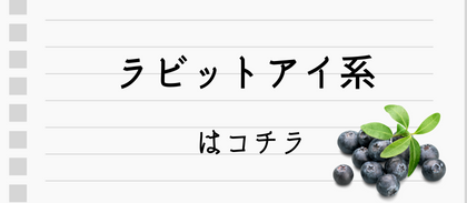 ラビットアイ系はコチラ